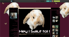 Desktop Screenshot of leelou-lapinou.skyrock.com