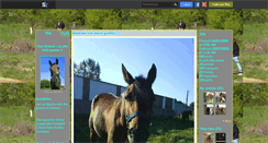 Desktop Screenshot of horse-ma-life.skyrock.com