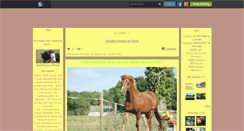 Desktop Screenshot of fantastiques--poneys.skyrock.com