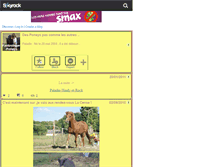 Tablet Screenshot of fantastiques--poneys.skyrock.com