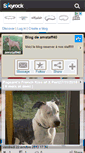 Mobile Screenshot of amstaff40.skyrock.com