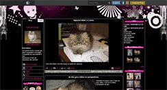 Desktop Screenshot of les-chats-persan.skyrock.com