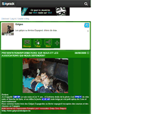 Tablet Screenshot of galgos.skyrock.com