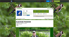 Desktop Screenshot of crisbird62.skyrock.com