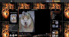 Desktop Screenshot of husky-folie59.skyrock.com