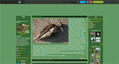 Desktop Screenshot of becassedu38.skyrock.com