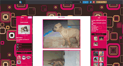 Desktop Screenshot of chiot-amstaff.skyrock.com