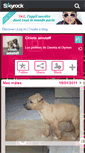 Mobile Screenshot of chiot-amstaff.skyrock.com