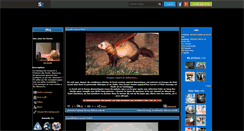 Desktop Screenshot of les-furets.skyrock.com