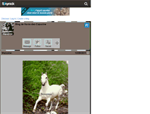 Tablet Screenshot of haras-des-capucine.skyrock.com