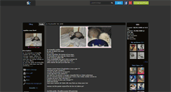 Desktop Screenshot of cupidon-le-furet.skyrock.com