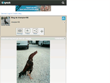 Tablet Screenshot of champion186.skyrock.com