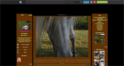 Desktop Screenshot of photography-horse.skyrock.com