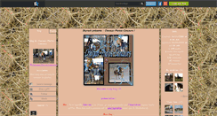 Desktop Screenshot of chevaux-photos-concours.skyrock.com