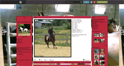 Desktop Screenshot of havanepony.skyrock.com