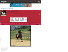 Tablet Screenshot of havanepony.skyrock.com