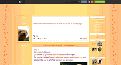 Desktop Screenshot of chipie-mondoudoua4pattes.skyrock.com