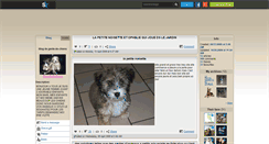 Desktop Screenshot of garde-de-chiens.skyrock.com