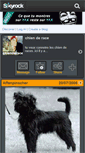 Mobile Screenshot of chienderace.skyrock.com