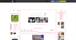 Desktop Screenshot of animaux-aand-co.skyrock.com