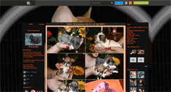 Desktop Screenshot of frenchbulldog.skyrock.com