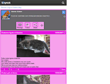 Tablet Screenshot of donne-chatons04.skyrock.com