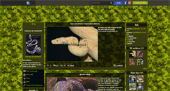 Desktop Screenshot of chasseur-de-reptiles007.skyrock.com