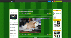 Desktop Screenshot of chonchon158.skyrock.com