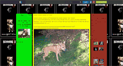 Desktop Screenshot of forresteph.skyrock.com