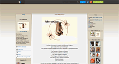 Desktop Screenshot of chic-et-metisse.skyrock.com