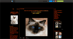 Desktop Screenshot of berlioz-le-chat.skyrock.com