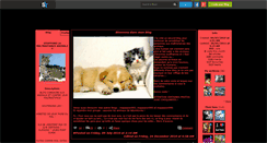 Desktop Screenshot of mapassion994.skyrock.com