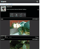 Tablet Screenshot of doberman2.skyrock.com
