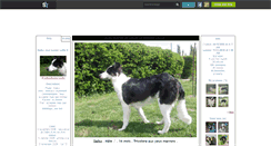 Desktop Screenshot of dalko-border-collie.skyrock.com