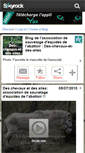 Mobile Screenshot of des-chevaux-et-des-ailes.skyrock.com