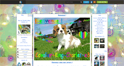 Desktop Screenshot of cavalier-king-charles-x3.skyrock.com