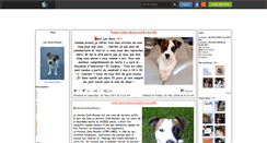 Desktop Screenshot of love-jack-russel.skyrock.com