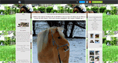 Desktop Screenshot of gamin-julie.skyrock.com