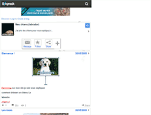 Tablet Screenshot of chien-labra.skyrock.com