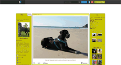 Desktop Screenshot of cassiandoguenoir.skyrock.com