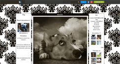 Desktop Screenshot of help-animaux--x.skyrock.com