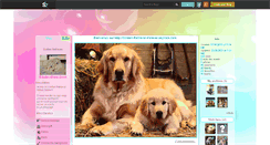 Desktop Screenshot of gloden-retriever-forever.skyrock.com