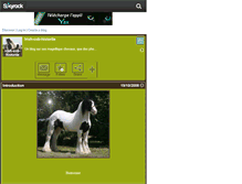 Tablet Screenshot of irish-cob-historiie.skyrock.com