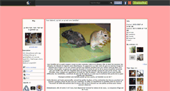 Desktop Screenshot of gerbille-land.skyrock.com
