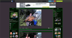 Desktop Screenshot of borderliner.skyrock.com