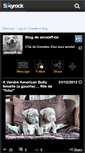 Mobile Screenshot of amstaff-tai.skyrock.com