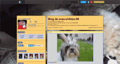 Desktop Screenshot of enza-shihtzu-09.skyrock.com