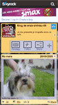 Mobile Screenshot of enza-shihtzu-09.skyrock.com