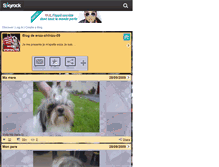 Tablet Screenshot of enza-shihtzu-09.skyrock.com