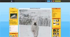 Desktop Screenshot of capoeira-des-syltoken.skyrock.com